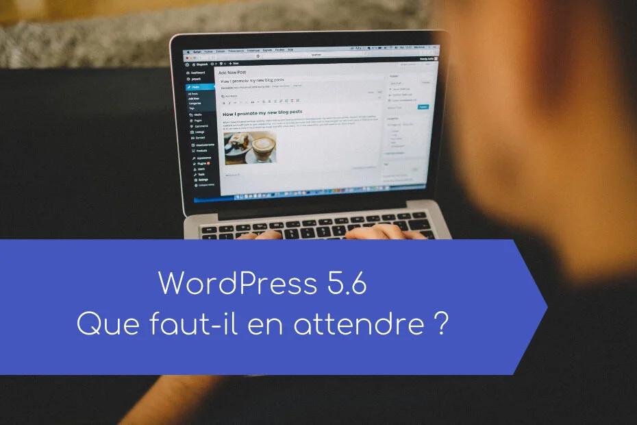 wordpress 5.6