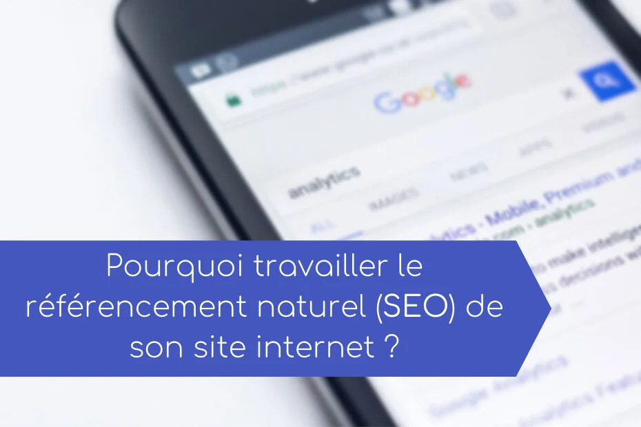 Why Work Seo Fr